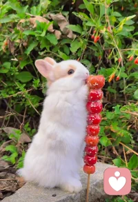 纵有疾风来，人生不言弃，风乍起，合当奋意向此生配图