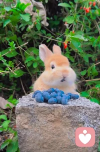 保持对生活爱的热忱，把每一天活得热气腾腾。配图