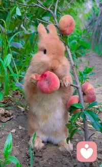 要有大大小小的期待，生活才不會百無聊賴。配圖