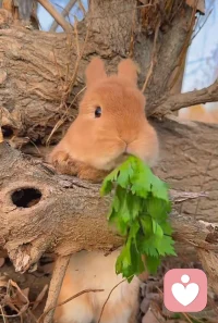 生活的真谛从来都不在别处，就是在日常一点一滴的奋斗里！新的一天开始了，早安～配图