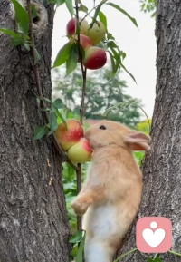 接受自己的普通，然后拼尽全力去与众不同。早安～配图