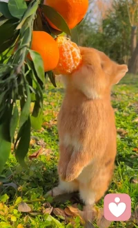 难熬的日子总会过去，不信你回头看看你都已经在不知不觉中，熬过了很多苦难，余生很长，不必慌张。配图