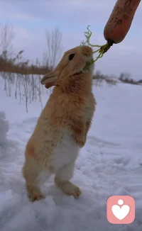 鼓励别人开心是一种善意，要求别人开心是一种傲慢，而指责别人不够开心则是一种暴力。配图