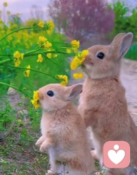 不夠完美又何妨，萬物皆有裂縫，那是光照進來的地方。生命有裂縫，陽光才能照亮，路上有坎坷，人才變得堅強～配圖