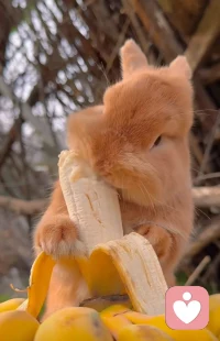 討厭我沒關系，我活著不是為了取悅任何人，人生那么短，我憑什么給任何人臉。慣著我的人，才有資格管我。如此甚好～配圖