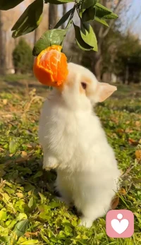 心态要像伞一样，撑得起收的住  心态永远是你最好的风水 望可望之事，待可待之人～配图