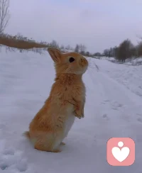 岁月冗长，年华未央，黯然神伤之间，千山万水已过。配图