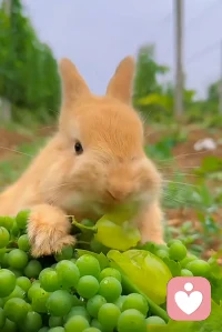 沉淀再沉淀，然后成为一个温柔而强大的人，～在烟火里谋生，在失意中寻梦，希望所有的奔赴都有意义配图