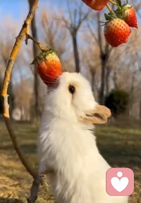 只要你不颓废不消极只悄悄酝酿着，乐观培养着豁达，坚持着，善良始终朝着梦想前行永远在路上，就没有到达不了的远方～配图