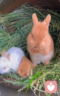 坚信自己的价值，你有能力改变自己和世界～配图