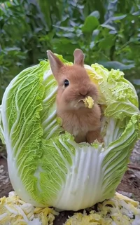 每個人都是單槍匹馬，在闖蕩險象環(huán)生的人生，一念起，風(fēng)生水起，一念落，萬劫不復(fù)～配圖