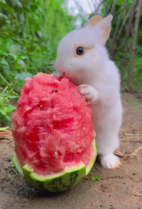 好久不见