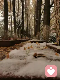 最近很喜欢的一段话：
希望你永远都不要去责怪生命中出现的每一个人，
因为好的人给了你快乐，坏的人给了你经历，
最差的人给了你教训，最好的人给了你回忆，
每个人出现都有他的原因，每一段经历都值得我们去感恩配图