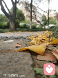 总会有一个人的出现，
打破你的底线和原则，
放下你所有防备，甚至放下你的高傲和尊严，
最后他成了你的例外，也成了你的劫……配图