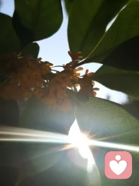 有多少心酸与无奈，只有自己能体会配图