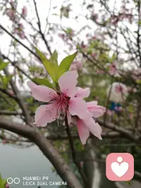 闲暇不是心灵的充实，
而是为了心灵得到休息……配图