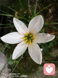 顺其自然点吧
并不是每个问题都有答案
也不是每件事都能如愿.配图