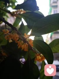 未来的艰难与痛苦，并不会比过去少。
就像将来的欢欣与平静，不会少于过去。
绝境中的我往往溺于前者，而忘记了后者。配图