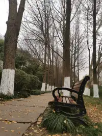 人生，哪有事事如意，生活，哪有樣樣順心。配圖