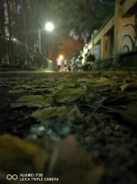心在遠方，不看過往配圖