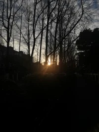 如果你此時(shí)此刻開(kāi)始努力，最壞的結(jié)果也不過(guò)是大器晚成。配圖