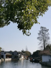 會(huì)有人撿起七零八落的你，把偏愛和例外都給你。配圖