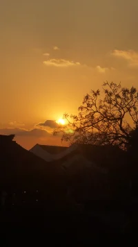 生活就是一種簡單，心靜了就平和了……配圖