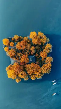 做一個(gè)簡(jiǎn)單的人
看得清世間繁雜卻不在心中留下痕跡配圖