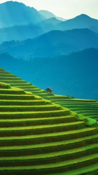 世界上總會有猝不及防的再見，和毫不留戀的散場，
散場本是人間常態，你我又沒有什么例外配圖