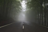 假如困境有解，何必心煩意亂？
假如困境無解，何必郁郁寡歡！配圖