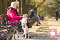 眼有星辰大海，心有繁花似錦；愿流年不負，愿歲月可期。配圖