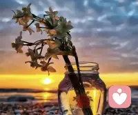 不知道從什么時候開始，我們慢慢地習慣了離別，看淡了得失，也接受了曾經關系最好的朋友的漸行漸遠。

也許人生就是一場孤獨的旅行，沒有人會一直陪在你的身邊，也沒有一種關系是永恒不變的。配圖