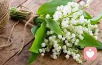 從心理學的角度來講，愛是一種能力！愛的能力可以讓你和他人關系和諧，讓你心生愉悅，這時候關系會來滋養你、成就你。

被愛也是一種能力。被愛的能力可以讓你發現愛、接收愛、創造愛，感受愛，愛就會滋養你、成就你。

所以，愛是一切答案。配圖