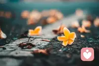 真正的愛，不是單純的給予，還包括適當的拒絕及時的贊美，得體的批評，恰當的爭論，必要的鼓勵，溫柔的安慰和有效的敦促——少有人走的路配圖