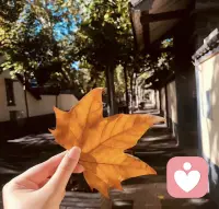 與原生家庭和解是我們一生最重要的課題，父母是根，是我們生命的源頭，如果我們不能與他們和解，其實就是不能與自己的生命和解，不能接納自己配圖