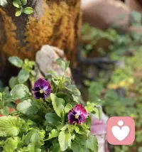 每日分享：

婚姻中最殘酷的真相：你無法通過忽視生活伴侶的渴望來保持內心的平靜。
類似的事情在我們的生活中很多，如果你拒絕伴侶的要求，她可能不會怪你，但心里對你已經是很不爽了，回頭，這筆賬肯定是要跟你算的。所有的秋后算賬，都是來自于我們對伴侶要求的忽略——你沒把她當回事，她也不把你當回事，就這么簡單。配圖