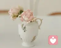 每日分享：

叔本華說：在已知的生物中，人感受到的痛苦是最強烈的，因為人有記憶。有了記憶，痛苦就會被無限放大。你記住了痛苦，那痛苦就一直存在。不管是放不下，還是抱怨，都是在浪費生命，你浪費得越多，真正屬于自己的生命就越短。配圖