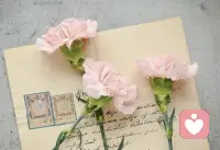 每日分享：

當我們對自己足夠認識，足夠了解，足夠接納，足夠坦誠，足夠認同，就是我們的人格被被重新整合了。這個時候我們一定能很好的認識這個世界，能夠更好地認識我們所有的關系，認識我們自己以外的任何一個人。配圖