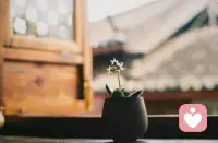 每日分享：

從心理學的角度來講，我們每一次情緒流動，都會在自己的身體留下印記。很多時候，當你身體上的莫名疼痛，其實都是在提醒你需要認真對待自己的情緒了。配圖