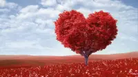 每天，写一些字。每天，读一点书。每天，让一些好事留下。每天，让一点坏事离开。每天，给出一些些的爱。每天，打开一点点的心。每天，都相信美好。开始美好的一天！