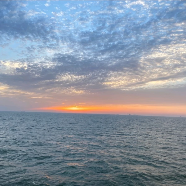 张先森【恋爱达人】