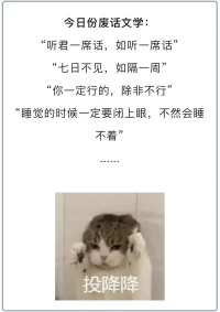 今日份废话配图