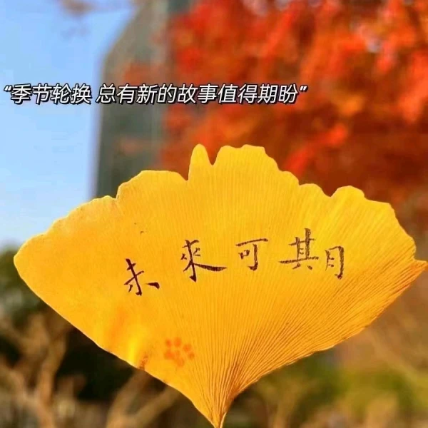 姝寧心理