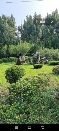 对婚姻这棵大树来说，修剪呵护比砍伐摧毁更重要配图