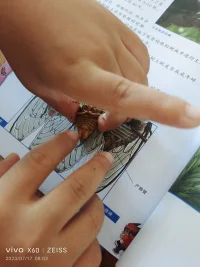 生命至上——作為一個女童保護講師，我想跟你說的話。配圖
