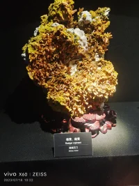 如果失去了某人卻找回了自己，那就是贏家！配圖