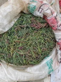 你所遇到的一切都是自己內心變現出來的配圖