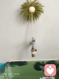 不是孩子有了責任
你才放手
而是你放手了
孩子才有責任配圖