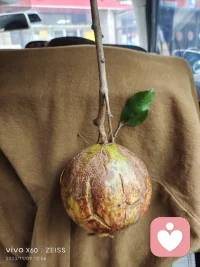 后悔，實則是站在今天的認知高度評判過去的行為，讓你后悔的事情在當時其實也是你過努力而做的做好的選擇，所以只要你后悔，就說明你比當時已經成長了——過去發生的事情不能改變，能改變的是對過去發生的事情的看法配圖