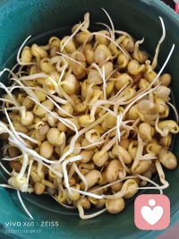 后悔，實則是站在今天的認知高度評判過去的行為，讓你后悔的事情在當時其實也是你過努力而做的做好的選擇，所以只要你后悔，就說明你比當時已經成長了——過去發生的事情不能改變，能改變的是對過去發生的事情的看法配圖